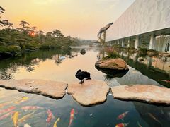 -罗红摄影艺术馆