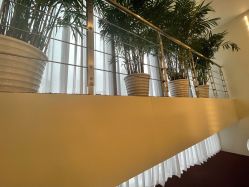 -上海时光整形外科医院