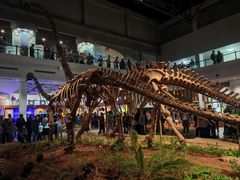 -自贡恐龙博物馆