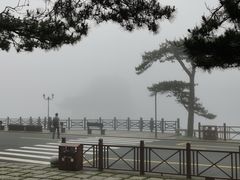 -庐山风景区花径公园