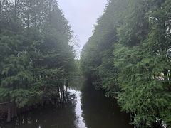 -厦门园林博览苑
