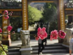 -灵光寺