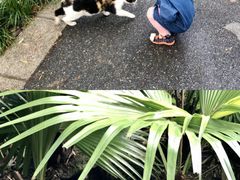 -晓港公园