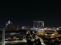 -新加坡瑞士史丹福酒店