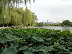 -济南大明湖景区