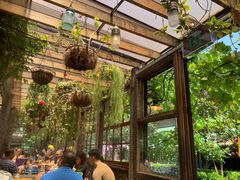 -The Grounds of Alexandria
