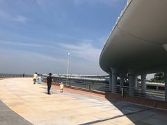 -演武大桥观景平台