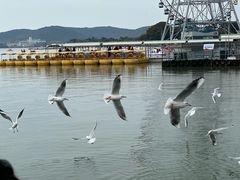 -蠡湖大桥公园