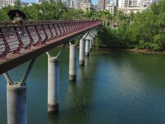 -金鸡岭桥头公园