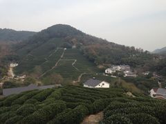 -西湖风景区十里琅珰-五云山