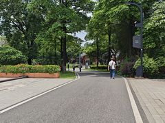 -海珠湖公园