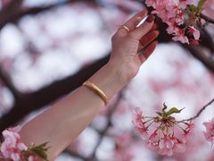 -上海辰山植物园