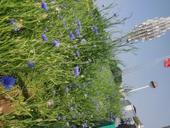 -孝感人民广场-地下停车场