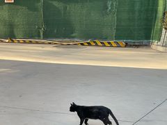 -炳灵寺世界文化遗产旅游区