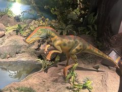 -辽宁古生物博物馆