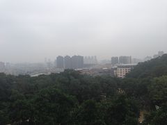 -金鸡山公园