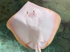 -珠海长隆海洋王国