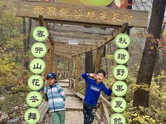 -大岭沟猕猴桃谷风景区