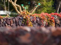 -开饭群岛