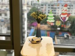 点击看大图 -臣丽纹眉全国连锁