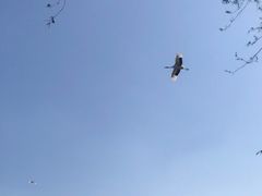 -沈阳森林动物园