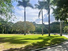 -深圳仙湖植物园
