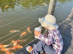 -昆山城市生态森林公园