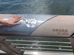 -星光大道