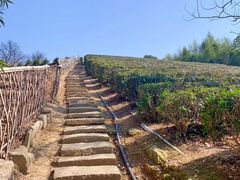 -绍兴东湖风景区