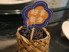 -南山竹海·珍味堂