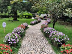 -庐山风景区花径公园