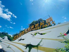 -西双版纳原始森林公园