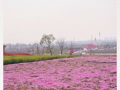 -西海岸生态观光园