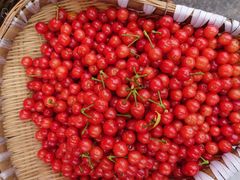 -樱桃山旅游景区