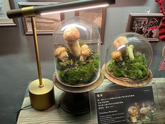 -原牛道·潮汕围炉火锅(讯美店)