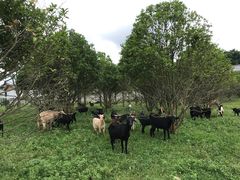 -云漫湖生态度假公园