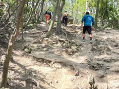 -紫金山山顶公园