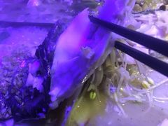 -匠子烤鱼(桫椤湾店)