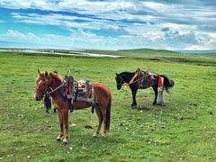 -青海湖国家重点风景名胜区