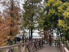 -海珠湖公园