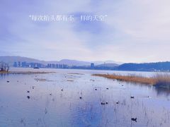 -洱海月湿地公园