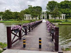 -上海鲜花港