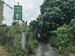 -绿雅居原生态农庄(小涌店)