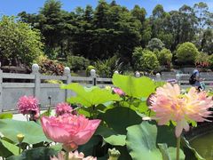 -广州莲花山旅游区