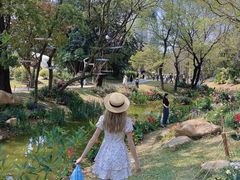 -人民公园(罗湖区)