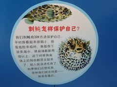 -上海海洋大学鱼文化博物馆(军工路校区)