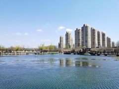 -前关湿地公园
