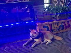 -爱啤精酿·民谣酒馆(滨江店)