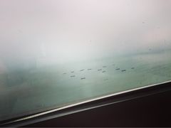 -渔公码头·九龙湾国际饭店