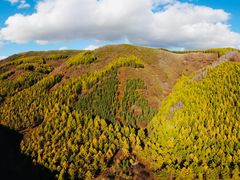 -塞罕坝国家级自然保护区